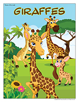 Giraffes