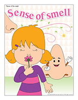 Sense of smell