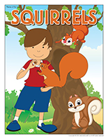 Squirrels