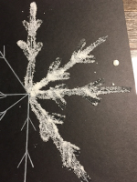 Tiny salt snowflakes-2