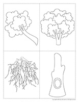 Tree sections