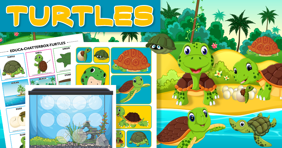 Turtles Theme And Activities Educatall