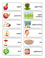 Word flashcards-Apples