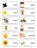 Word flashcards-Bees