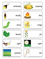 Word-flashcards-Fireflies