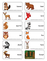 Word flashcards-Forest