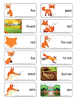 Word flashcards-Foxes