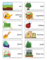 Word flashcards-Garden