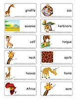 Word flashcards-Giraffes