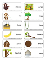 Word flashcards-Monkeys