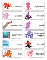 Word flashcards-Octopuses