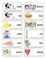 Word flashcards-Personalities Word flashcards-Personalities