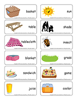 Word flashcards-Picnics