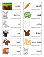 Word flashcards-Rabbits