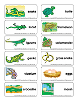 Word flashcards-Reptiles