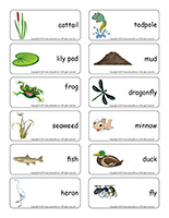 Word flashcards-Swamps