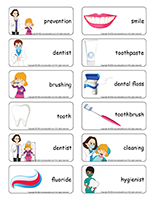 Word flashcards-The dentist