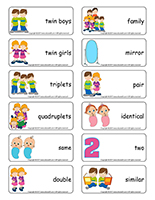 Word flashcards-Twins