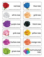 Word flashcards-Valentine’s Day Roses