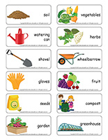 Word flashcards-Vegetable garden