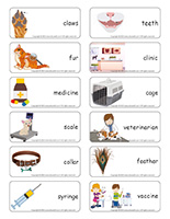 Word flashcards-Veterinarians