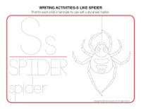 Writing activities-S like spider