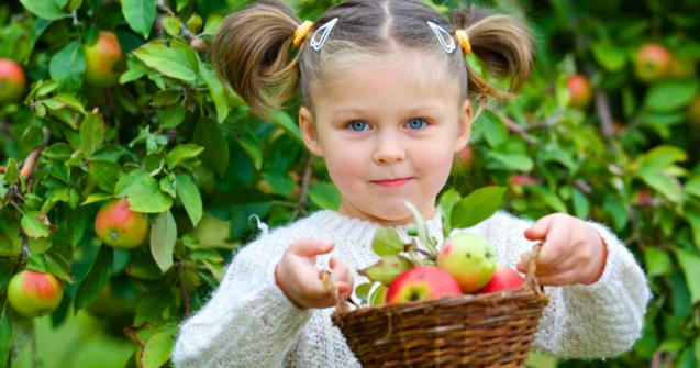 An apple-themed project for preschoolers - Arts and crafts - Educatall