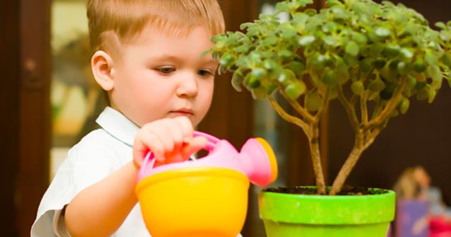 Benefits associated with plants in daycares - Extra activities - Educatall