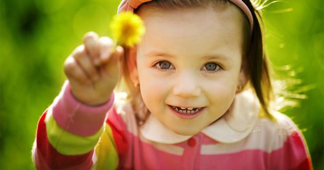 Dandelions, fields of gold - Extra activities - Educatall