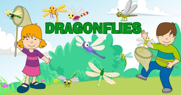 Dragonflies