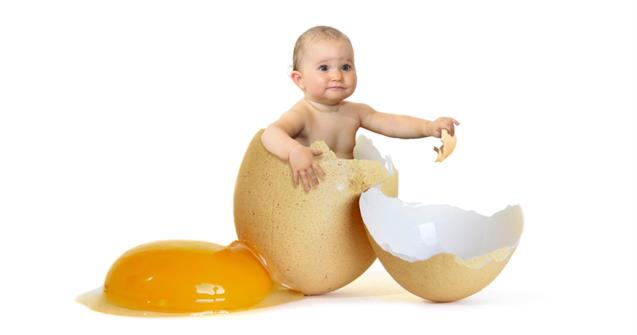 Exploring eggs - Babies and toddlers - Educatall