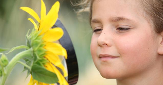 Flowers and water - Science - Educatall