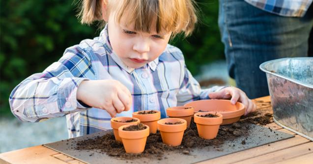 Fun with tiny clay pots - Extra activities - Educatall