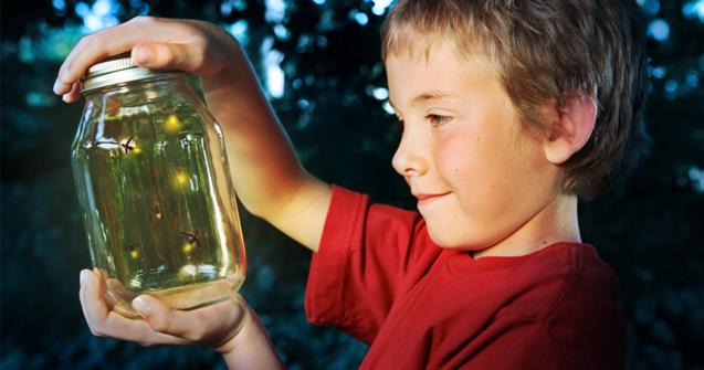 Learn how to say "fireflies" in French - Extra activities - Educatall