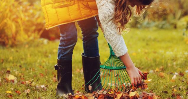 Learn how to say "rake" in French - Extra activities - Educatall