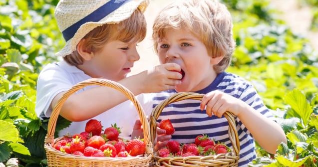 Learn how to say "strawberry" in French