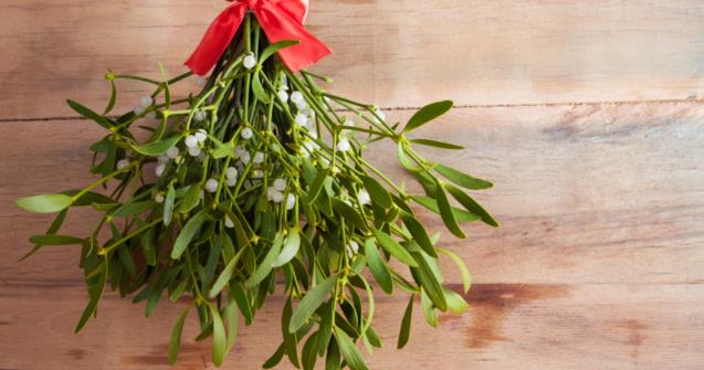 My mistletoe - Arts and crafts - Educatall