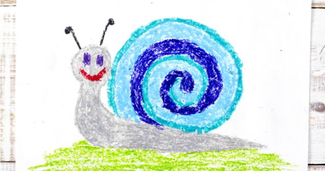 One snail, five activities - Extra activities - Educatall