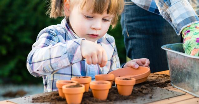 Planting seeds - Babies and toddlers - Educatall