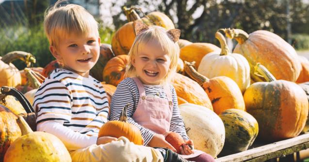 Playing with pumpkins and squash with little ones - Extra activities - Educatall