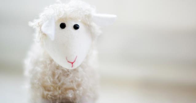 Sheep puppet - Arts and crafts - Educatall