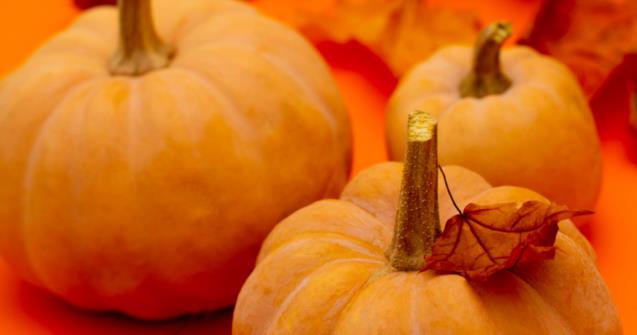 Shiny pumpkin place card - Arts and crafts - Educatall