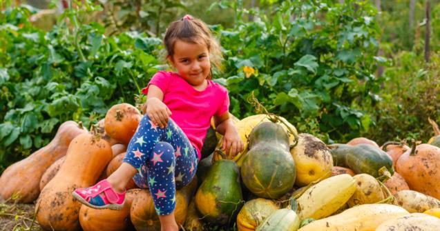 Squash field - Arts and crafts - Educatall