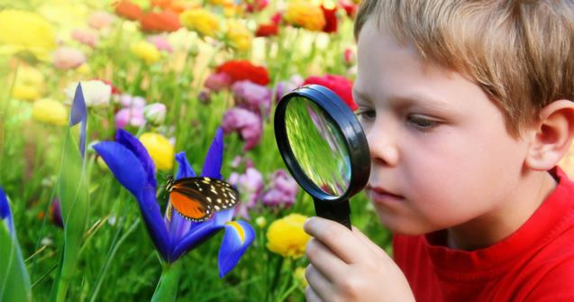 Treasures in the yard-Part 1: Insects etc. - Extra activities - Educatall