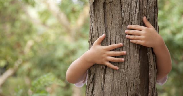 Trees - Babies and toddlers - Educatall