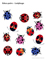 Educ pairs - Ladybugs